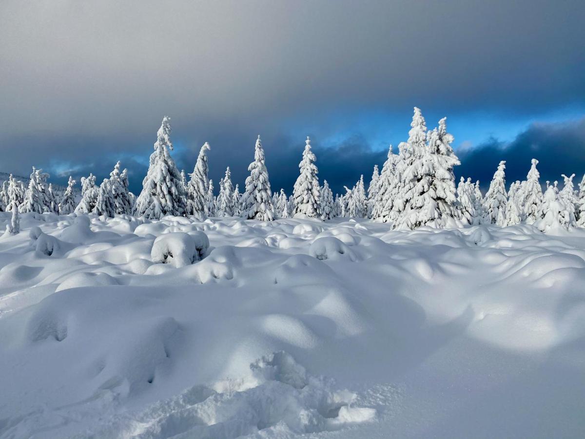 Savoy Exclusive Mountain Špindlerŭv Mlýn