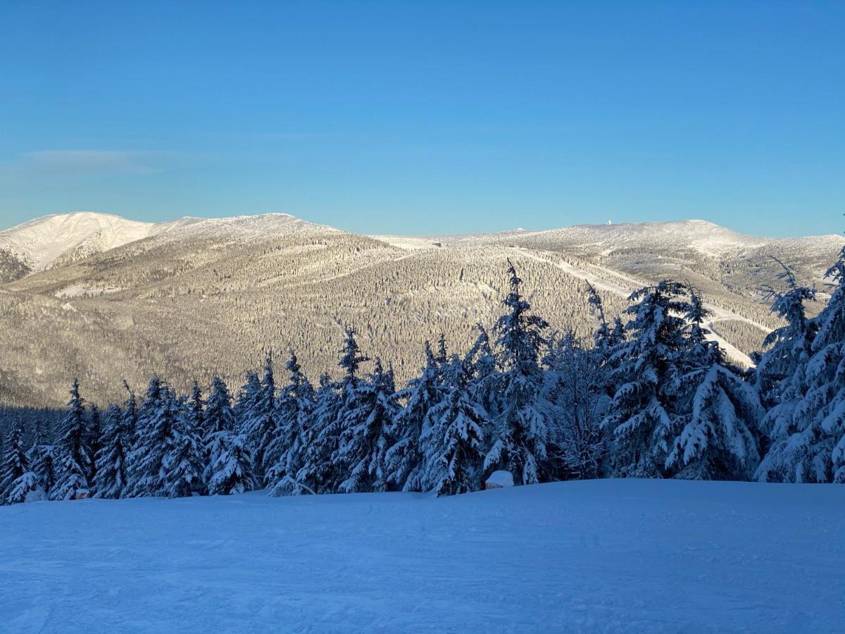 Savoy Exclusive Mountain *